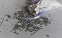 Welke kruiden combineren goed met cannabis in je vaporizer